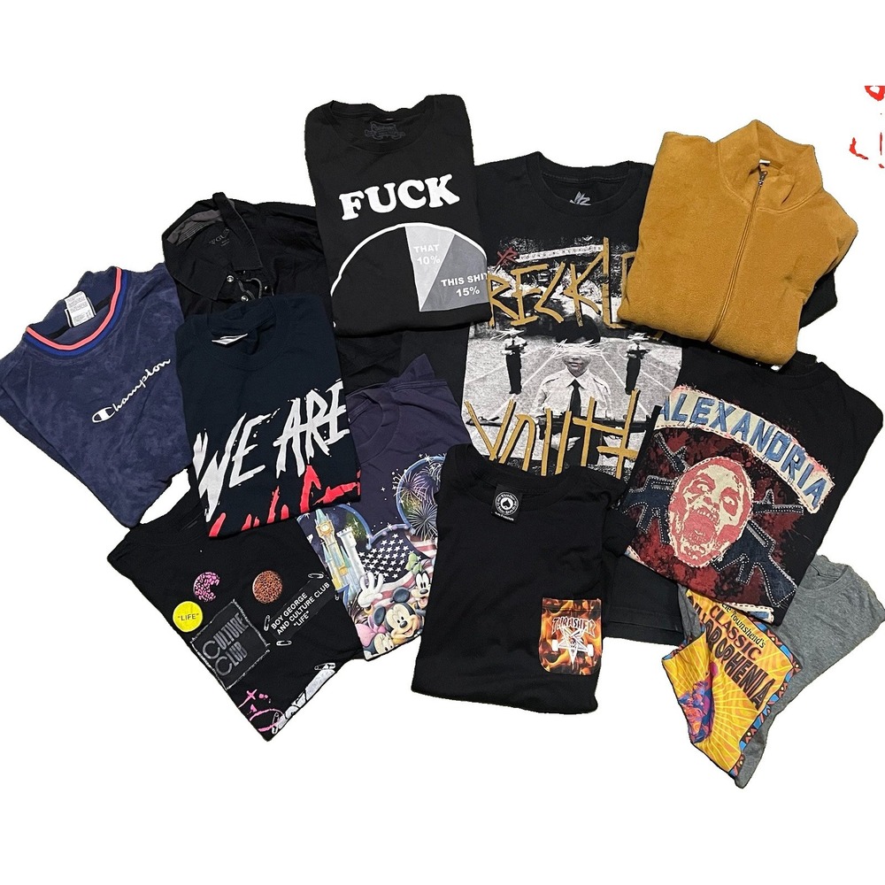 Graphic T Shirt Bundle Men's Reseller Lot Concert Band Disney Boy George Uniqlo